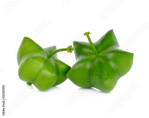 Plukenetia volubilis, sacha inchi, sacha peanut on white backgro