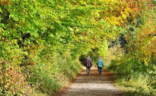 Spaziergang im Herbstwald © Franz Gerhard