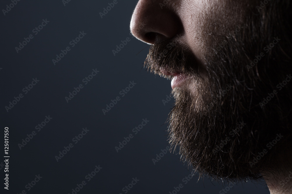 Fototapeta premium Profil Zamknij się człowieka z brązową brodą na szarym tle