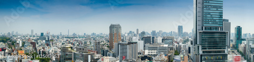Aerial panoramic view of Tokyo buildings from Shibuya rooftop © jovannig