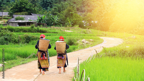 Red Dao Hilltribe women in Sapa photo