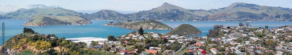 Dunedin Suburb Panorama