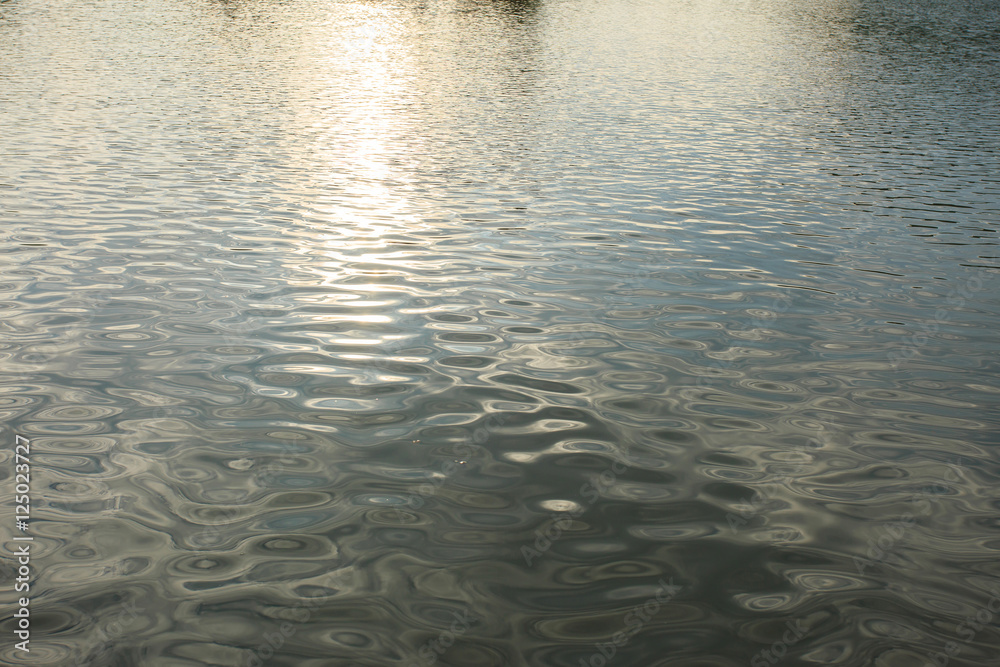 Sunlight on the river. Sunlight on the river.