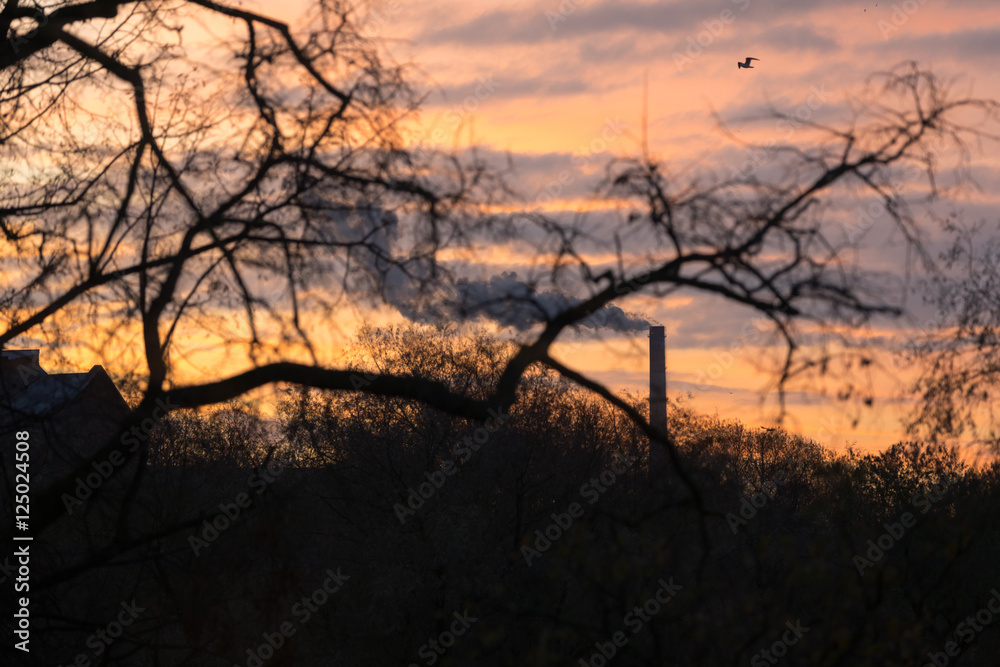Obraz premium the beginning of a new day at sunrise