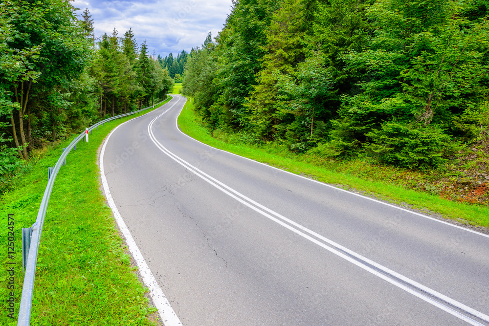 Fototapeta premium Winding Asphalt road in green forest