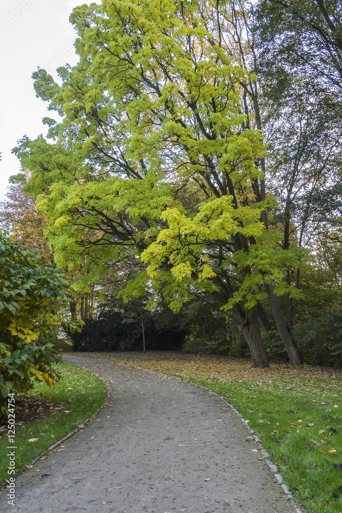 Knoops-Park im Herbstkleid in Bremen