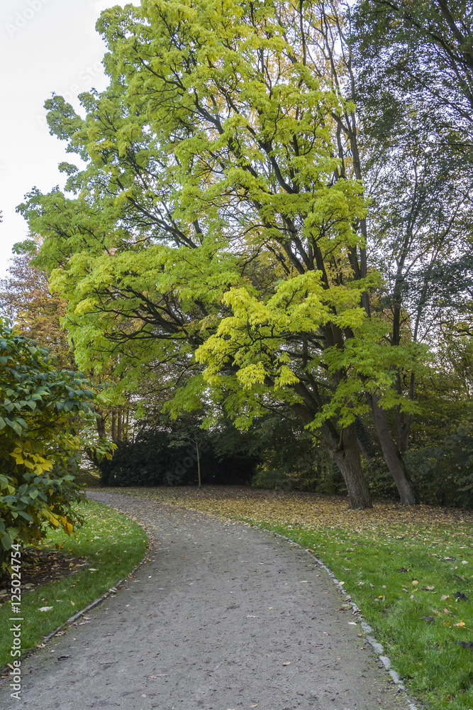 Knoops-Park im Herbstkleid in Bremen Knoops-Park im Herbstkleid in Bremen