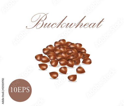 Buckwheat grain. Grain 