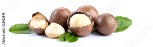 Bild auf Leinwand Macadamia Nüsse