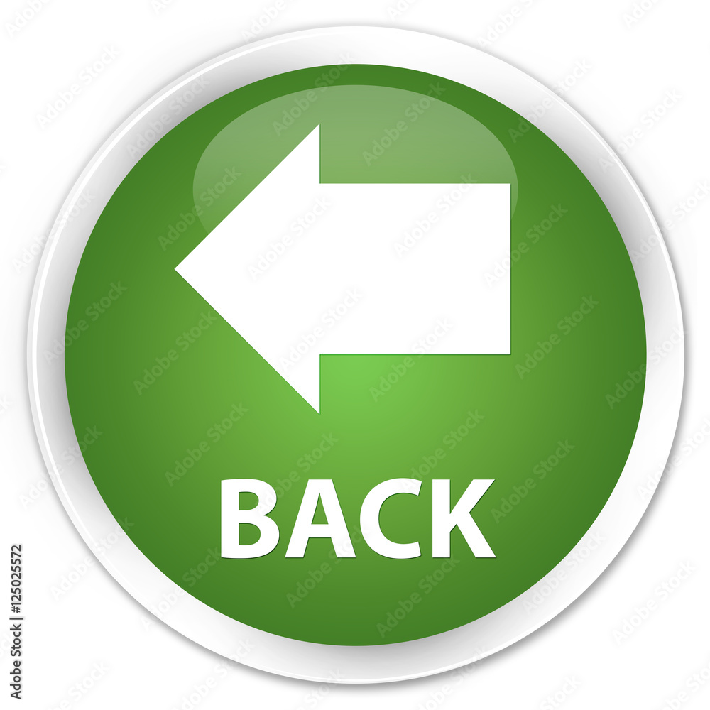 Back soft green glossy round button Back soft green glossy round button