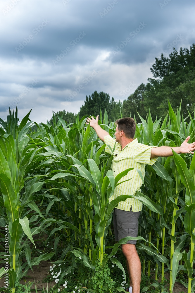 Delight for the healthy growth of corn Delight for the healthy growth of corn