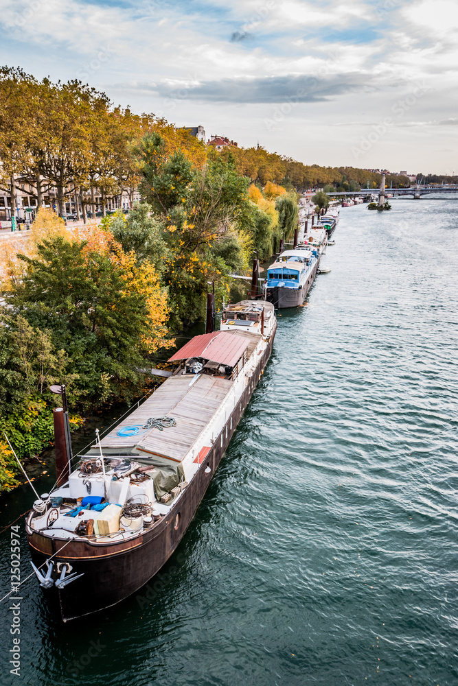 Naklejka premium Les quais du Rhône et Lyon vu du Pont Morand