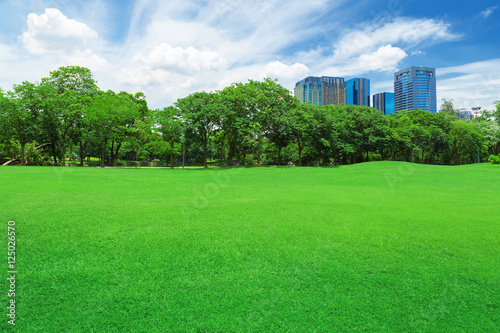 In city parks, lawns