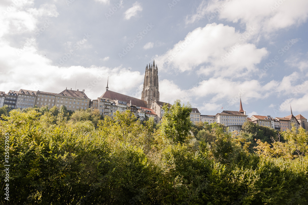 Freiburg, Fribourg, Stadt, Altstadt, Kathedrale, St. Nikolaus, Altstadthäuser, historische Häuser, Saane, Fluss, Sommer, Herbst, Schweiz Freiburg, Fribourg, Stadt, Altstadt, Kathedrale, St. Nikolaus, Altstadthäuser, historische Häuser, Saane, Fluss, Sommer, Herbst, Schweiz