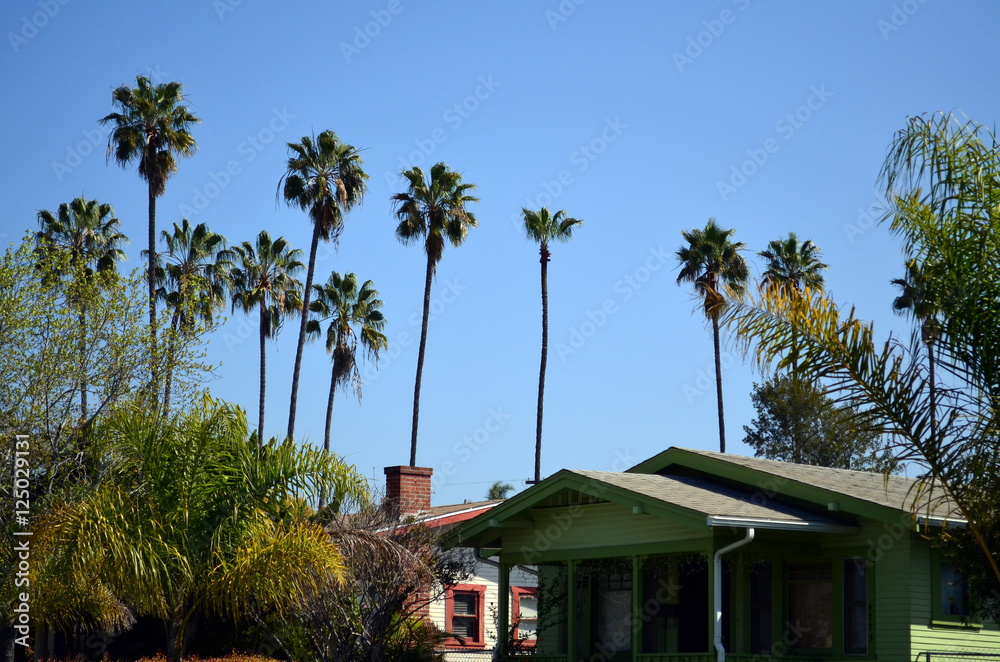 Typical Southern California bungalow with palm trees
