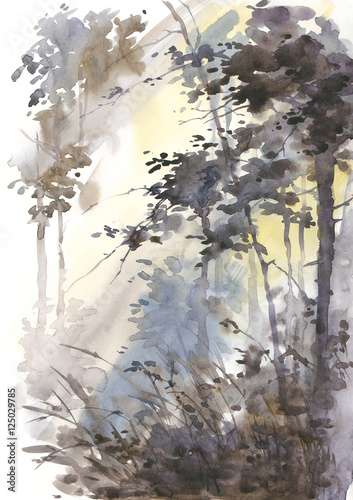 Watercolor abstract landscape, forest in sunshine.