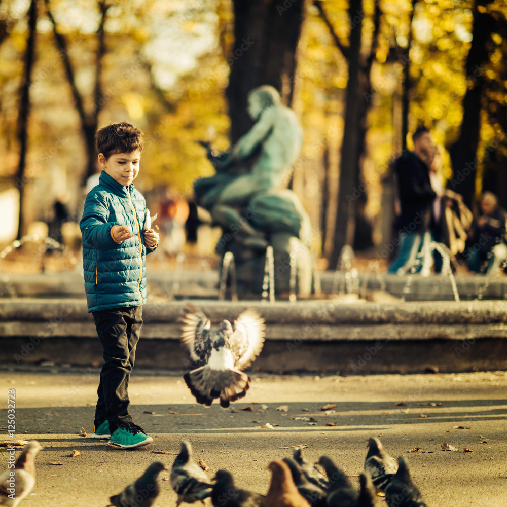 Obraz premium Boy with pigeons.Cute kid playing with pigeons in park