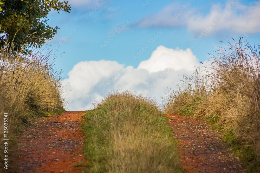 Fototapeta premium Countryside foad