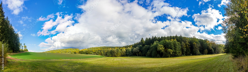 Obraz premium Autumn forest and field