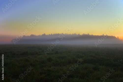 Morning mist at the edge of fields and forest © okyela