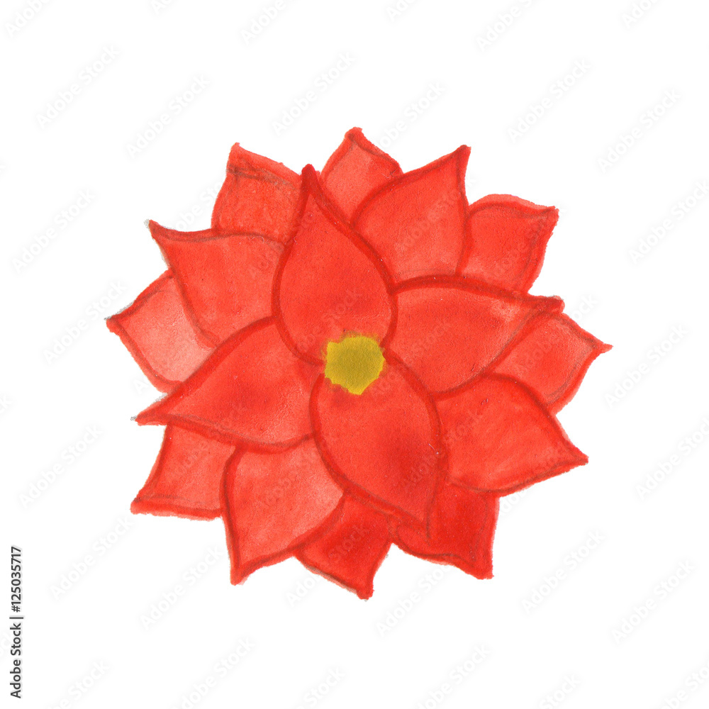 Hand drawn watercolor flower isolated on white background.