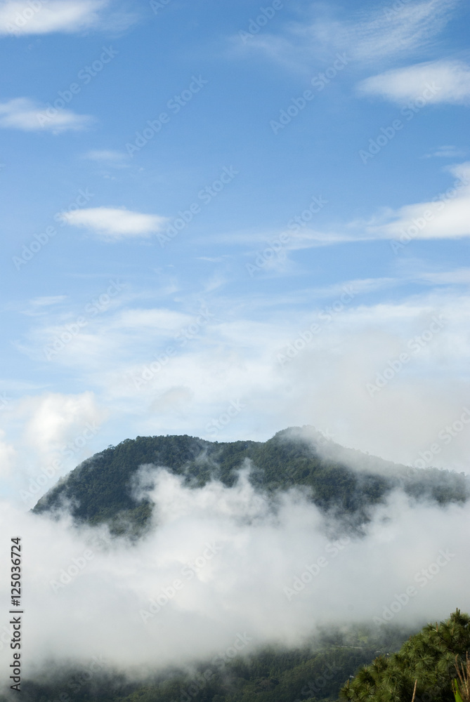 Mountain Guatemala and clouds forest.