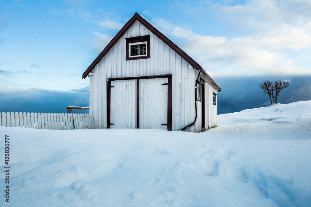 white rorbu snow