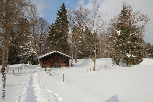 Winterlandschaft mit Hütte © amoerwald