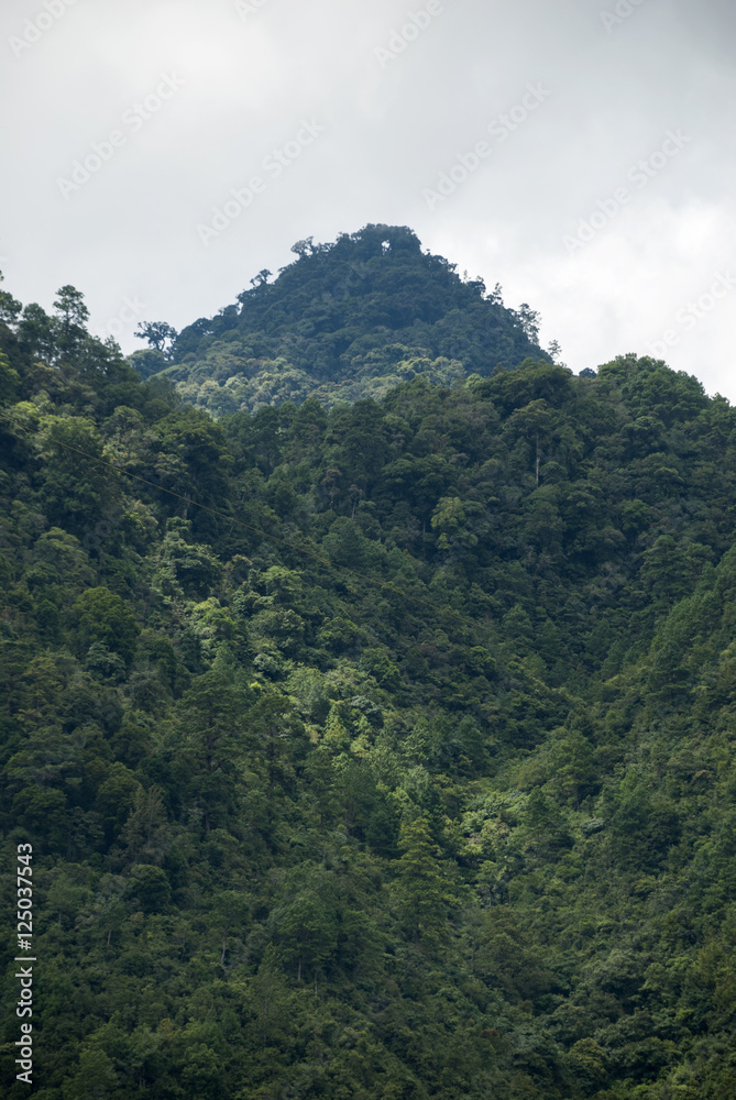 Mountain Guatemala and clouds forest.