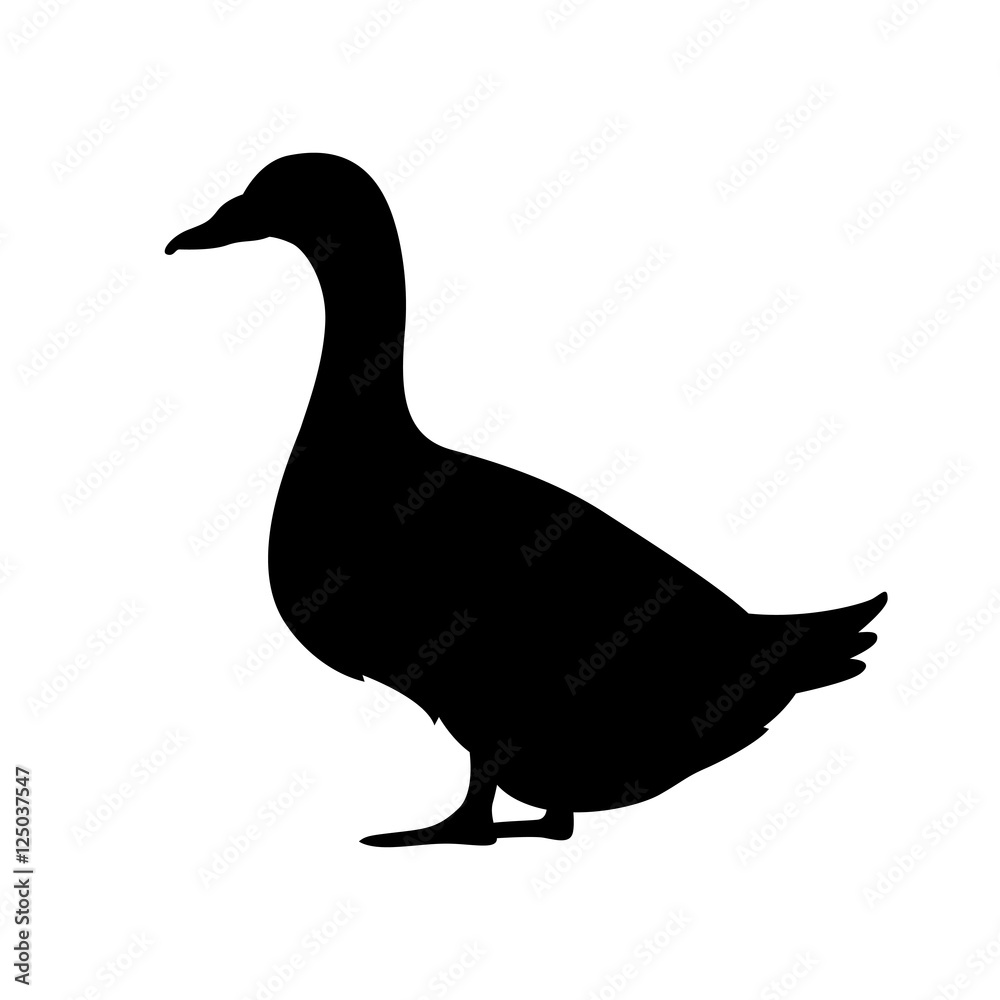 duck vector illustration black silhouette duck vector illustration black silhouette