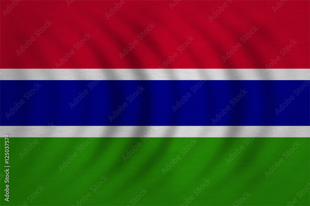 Flag of the Gambia wavy, detailed fabric texture Flag of the Gambia wavy, detailed fabric texture