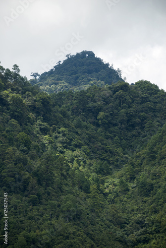 Mountain Guatemala and clouds forest. © Byron Ortiz