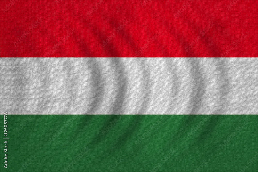 Flag of Hungary wavy, real detailed fabric texture