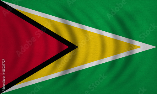 Free Download Flag of Guyana wavy, real detailed fabric texture - GFXLoad