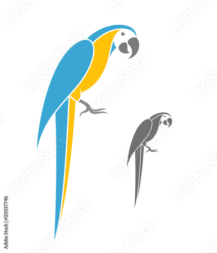 Macaw parrot. Vector illustration