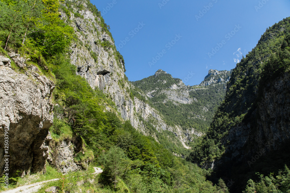 Tal Valle del Vescova; Bellunesische Nationalpark, Dolomiten, Sommer
