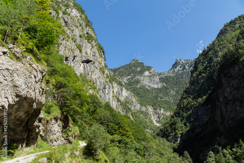 Tal Valle del Vescova; Bellunesische Nationalpark, Dolomiten, Sommer