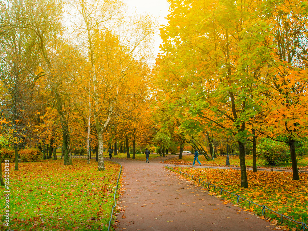 Beautiful autumn park with walk way,Autumn in St.petersburg