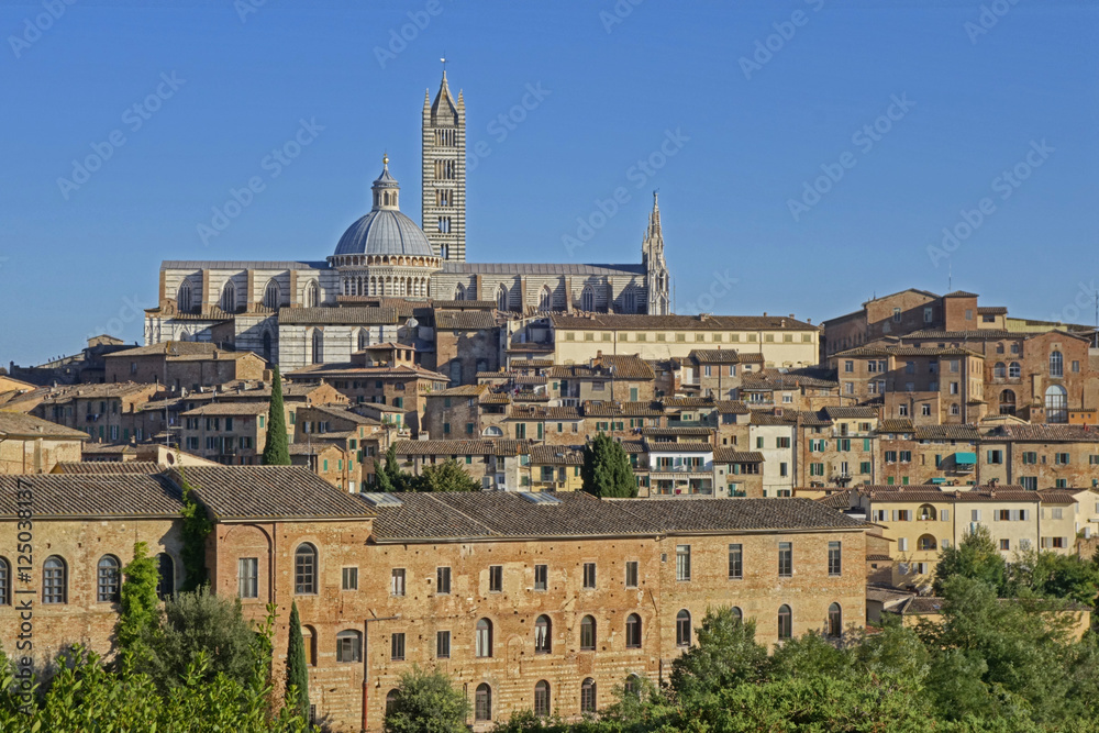 Stadtansicht Siena