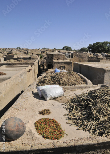 in the dogon country photo