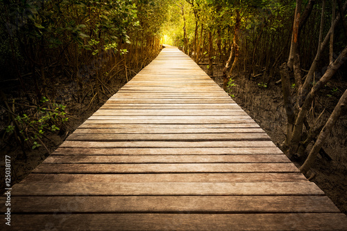 Wooden walkway in mangrove park