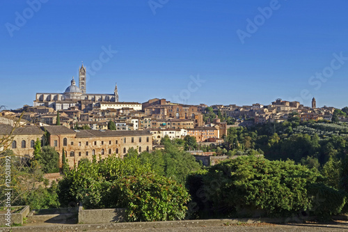 Stadtansicht von Siena