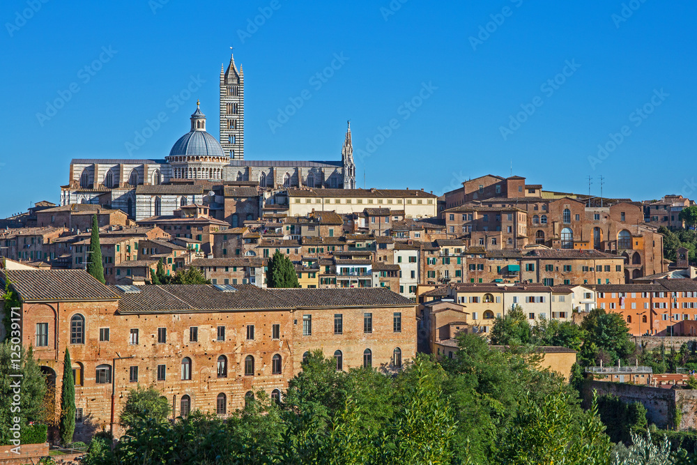 Blick auf die Altstadt von Siena