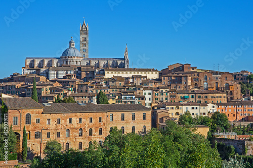 Blick auf die Altstadt von Siena