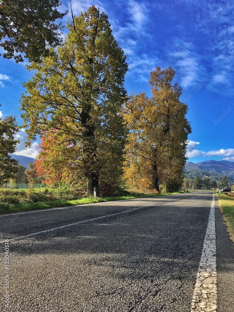 Obraz premium strada deserta in mezzo alla natura in autunno