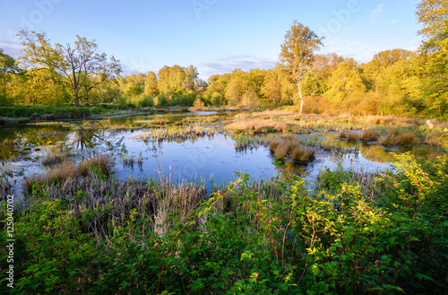 Billy Frank Jr. Nisqually National Wildlife Refuge