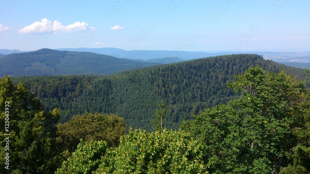 Obraz premium saint Odile 