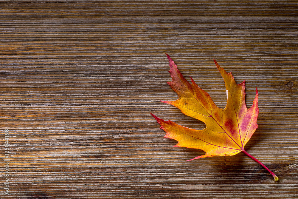 Obraz premium Autumn. Seasonal photo. Autumn leaves loose on a wooden board. Free space for your text products and informations.