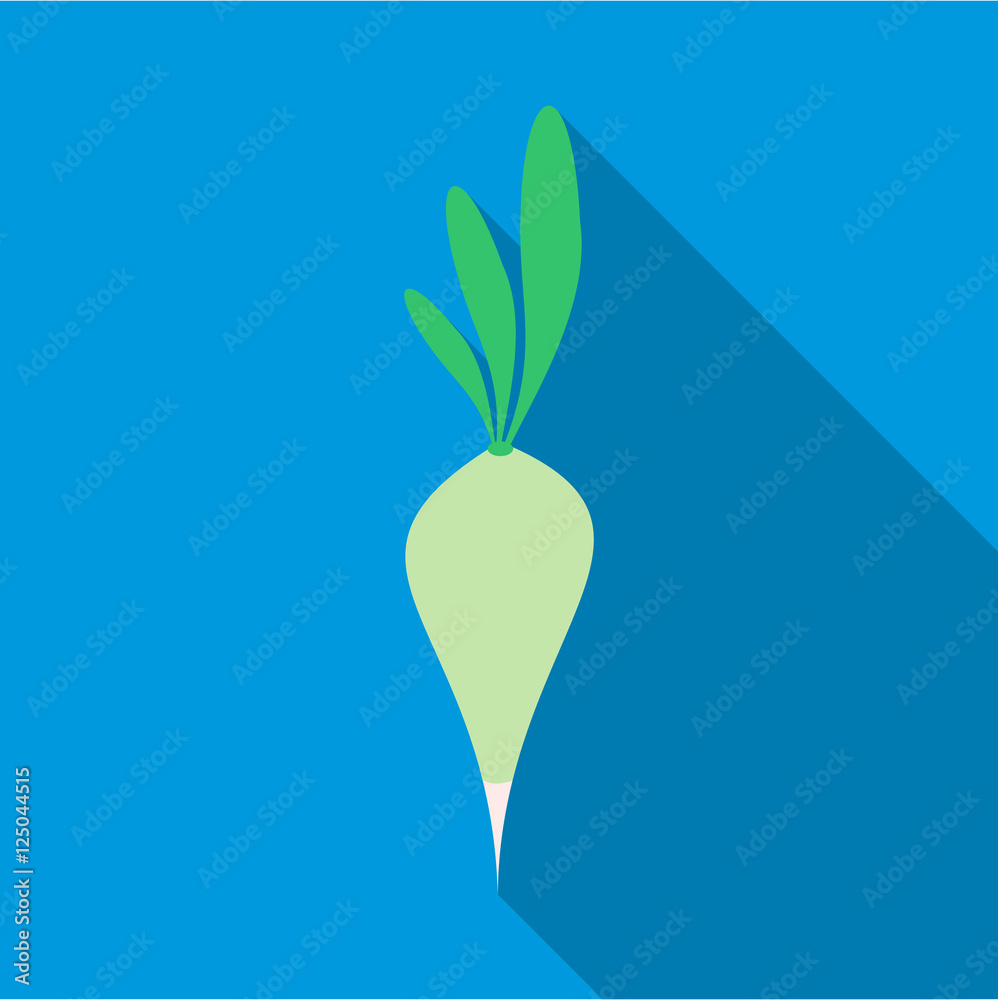Green radish icon. Flat illustration of green radish vector icon for web Green radish icon. Flat illustration of green radish vector icon for web