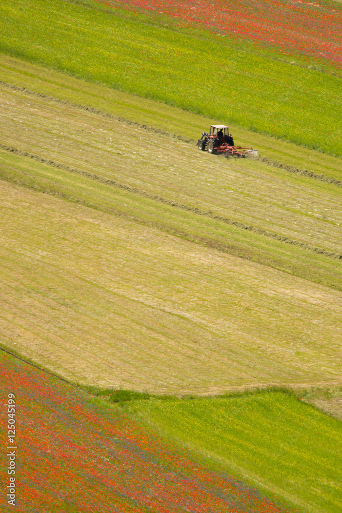 Castelluccio di Norcia Castelluccio di Norcia